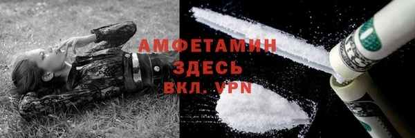 apvp Ельня