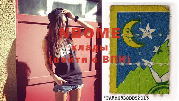 apvp Ельня