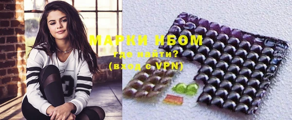 apvp Ельня