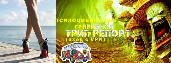 spice Елабуга