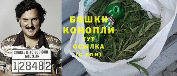 apvp Ельня
