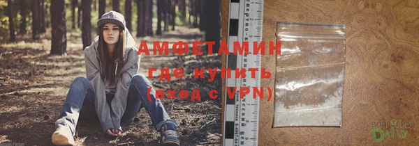 apvp Ельня