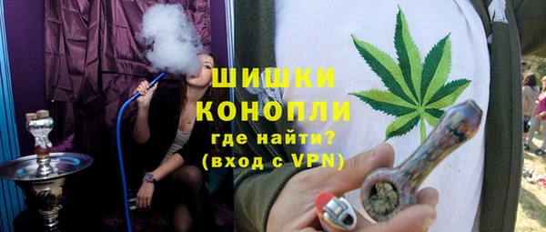 apvp Ельня