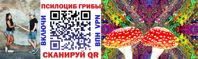 Галлюциногенные грибы Magic Shrooms  кракен ссылки  Пущино 
